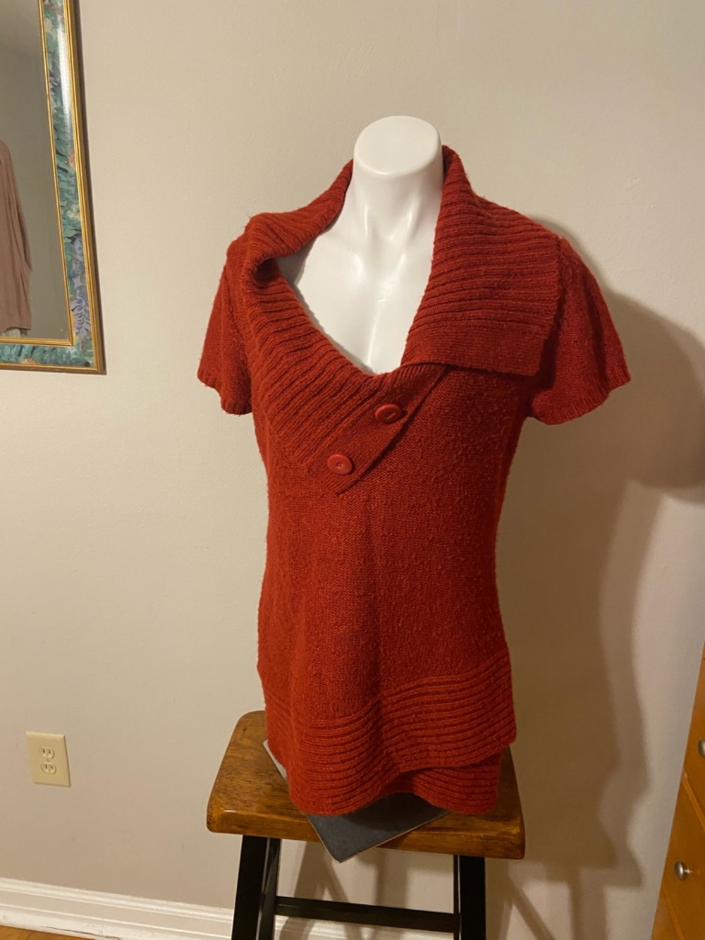 Allison Brittney Rust Short-Sleeve Cowl Neck Sweater